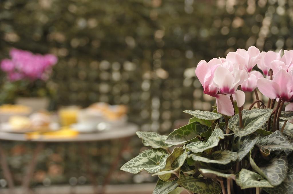 Piazzetta Al Vaticano B&B * Rome